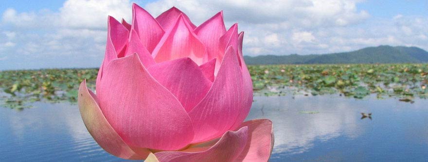 Zo ervaar je de schoonheid van dit moment. (En dit moment. En dit moment. En dit …)